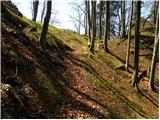 Kraljev hrib - Gradišče (Velika planina)